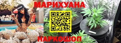 амф Новозыбков