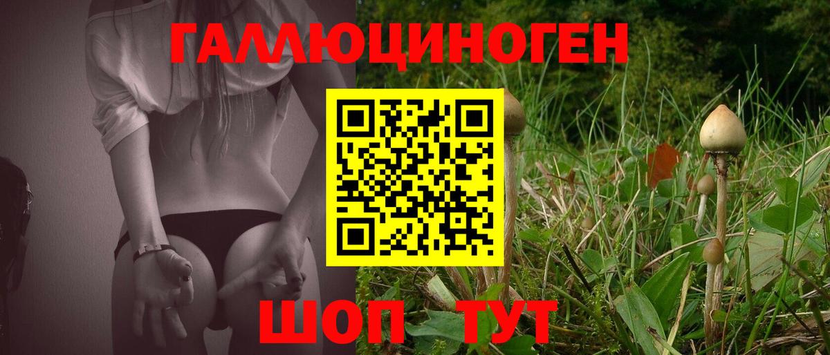 Галлюциногенные грибы Cubensis  Галлюциногенные грибы мицелий  Вход с VPN  Тосно 